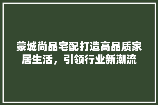 蒙城尚品宅配打造高品质家居生活，引领行业新潮流