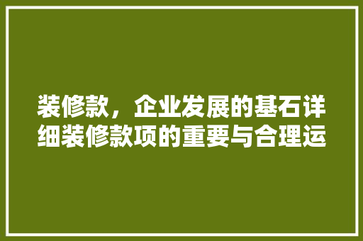 装修款，企业发展的基石详细装修款项的重要与合理运用