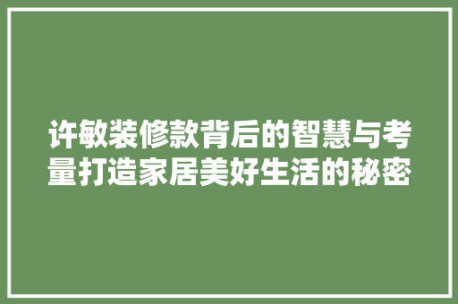 许敏装修款背后的智慧与考量打造家居美好生活的秘密武器