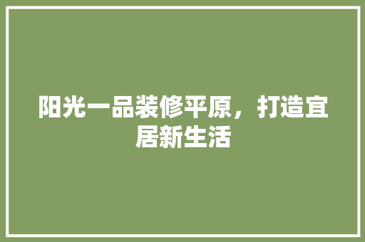 阳光一品装修平原，打造宜居新生活