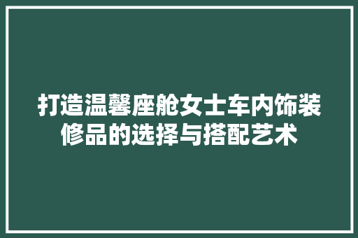 打造温馨座舱女士车内饰装修品的选择与搭配艺术