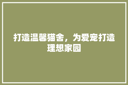 打造温馨猫舍，为爱宠打造理想家园