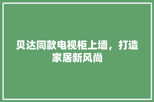 贝达同款电视柜上墙，打造家居新风尚