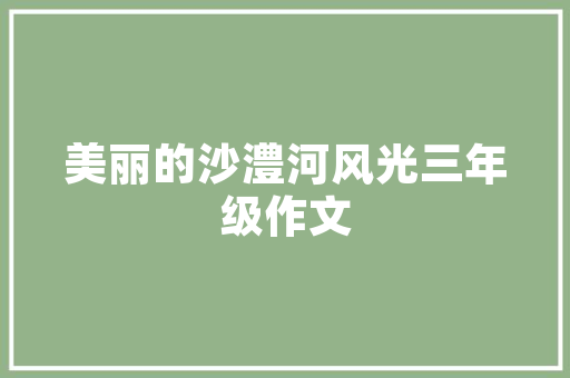 现代装修品摆件品味生活，点缀空间的艺术  第1张