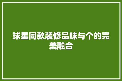 球星同款装修品味与个的完美融合