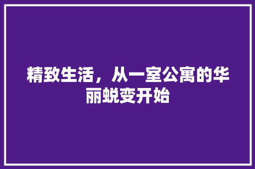 精致生活，从一室公寓的华丽蜕变开始  第1张